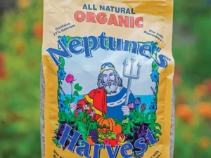 CRAB & LOBSTER SHELL 5-3-0