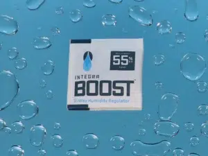 Integra Boost 55% humidity regulator