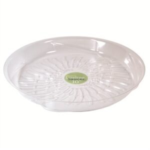 Liteline 10" Saucer