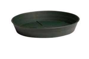 HF 10” Green Saucer Hydrofarm