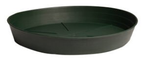 HF 6" Green Saucer Hydrofarm