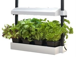 Sun Blaster Growlight Garden Micro