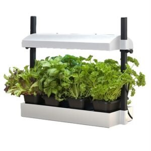 Sun Blaster Growlight Garden Micro