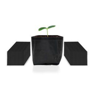 ACI 0.5 gal x50 nursery bag NBB5-50