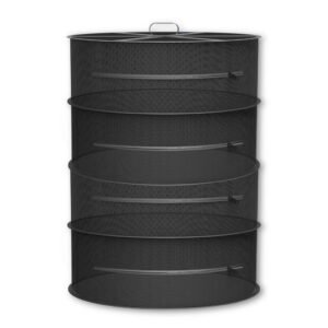 ACI 18x31 Dry Rack DRA44