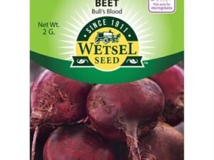 Wetsel Bulls Root Blood Beet Seeds