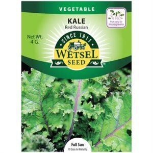 Wetsel Red Russian Kale Seeds