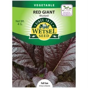 Wetsel Red Giant Mustard Seeds
