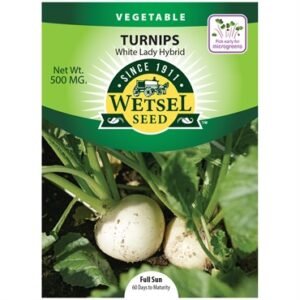 Wetsel White LadyHybrid Turnips Seeds