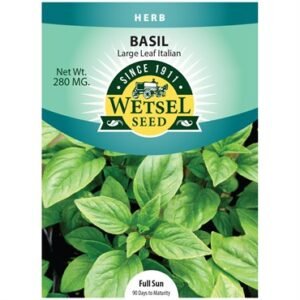 Wetsel Large Leaf Italian Basil Seeds