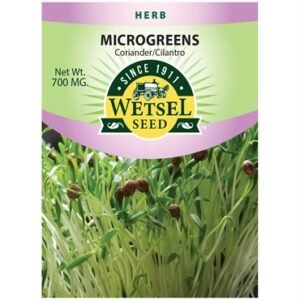 Wetsel CorianderCilantro Seeds