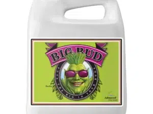 AN Big Bud 1gal advanced nutrients