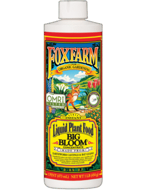 FoxFarm Big Bloom Pint