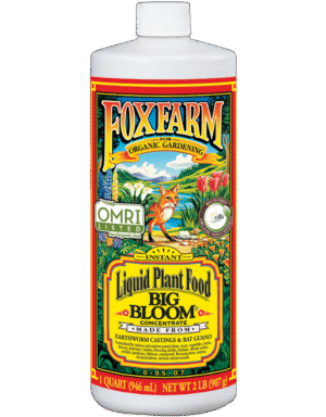 FoxFarm Big Bloom Quart