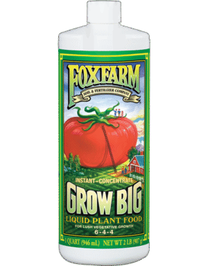 FoxFarm Grow Big Quart