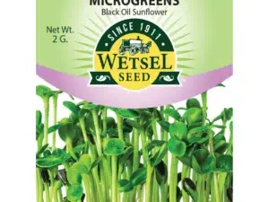 Wetsel Black Oil Sunflower Seeds