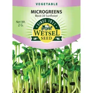 Wetsel Black Oil Sunflower Seeds