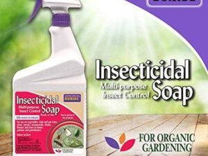 Bonide Insecticidal Soap