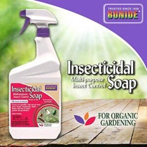 Bonide Insecticidal Soap
